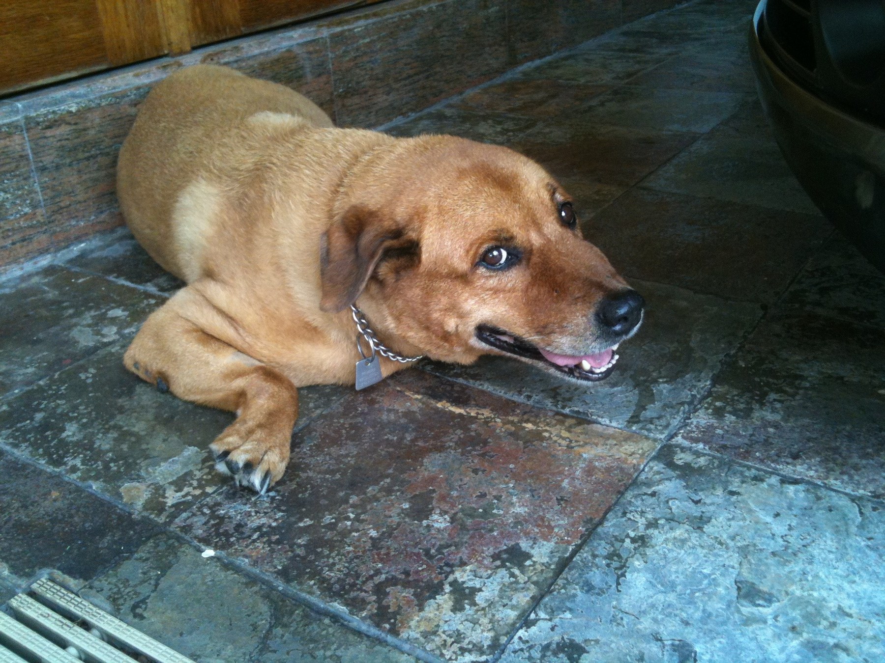 Brownie — Brownie Floor 3