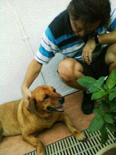 Brownie with family